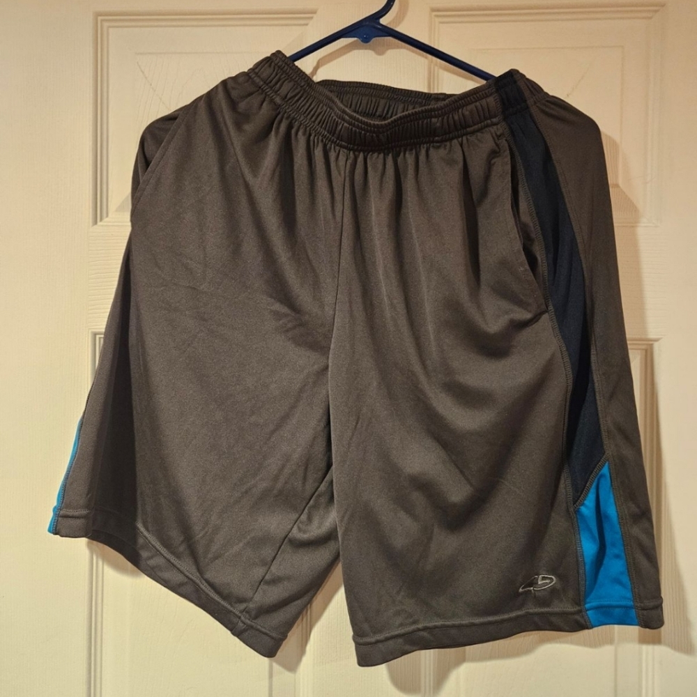 Champion Duo Dry Shorts